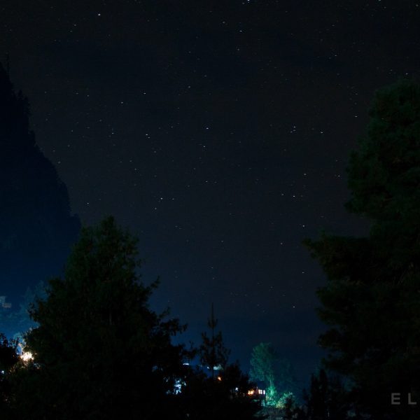 A forested area at night in Nepal with stars in the sky with houses lit up by indoor lights