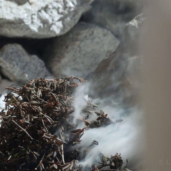A pile of juniper burns with smoke with white rocks in the background