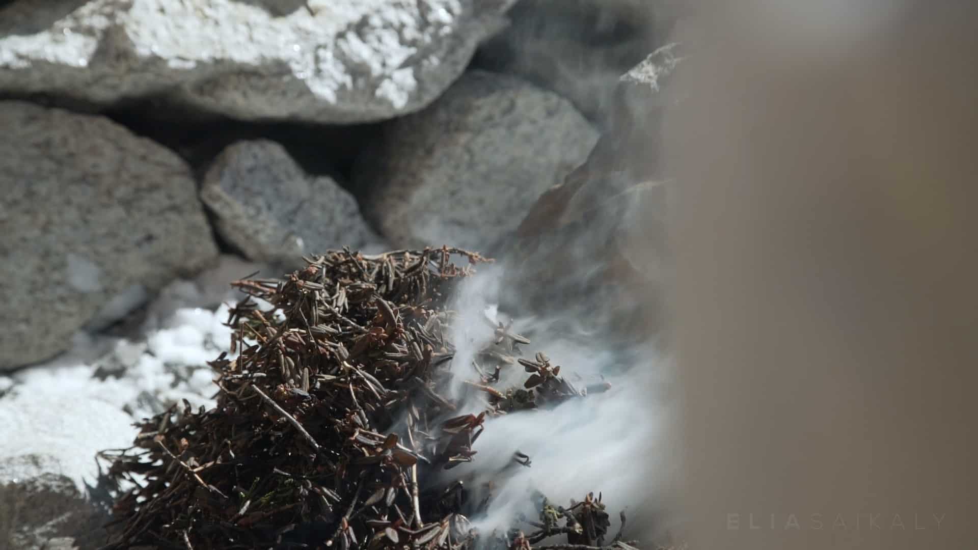 Close up of juniper burning at Everest basecamp Elia Saikaly Licensing