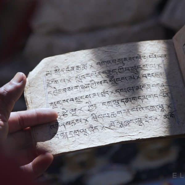 Close up of tibetan writing and a hand holding a booklet